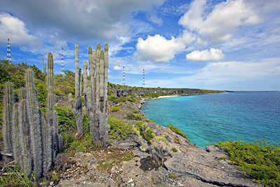 Bonaire Coastline