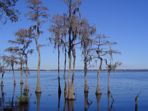 Clermont, Lake County, Florida