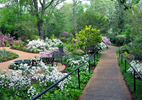 Mississippi: Mynelle Gardens