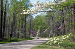 Virginia: Colonial Parkway Road