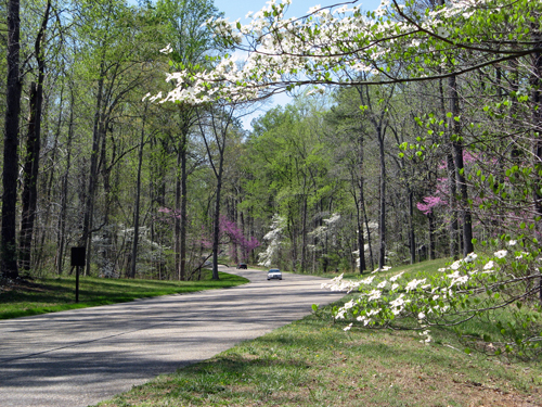 Virginia: Colonial Parkway Road