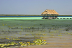 Bacalar Lagoon